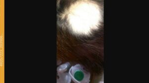 りんごちゃんの仰天子育て