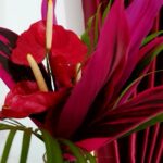 スリランカの両親と７年ぶりに再会した夫