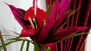 スリランカの両親と７年ぶりに再会した夫