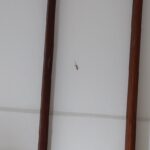 親戚、近所との交流は当たり前だよ in スリランカ