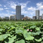赤裸々に告白する白昼堂々