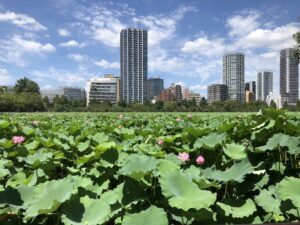 赤裸々に告白する白昼堂々