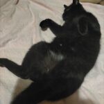 夜勤入り