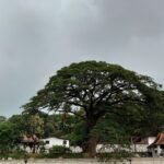 混雑していたスリランカのお寺【仏歯寺】