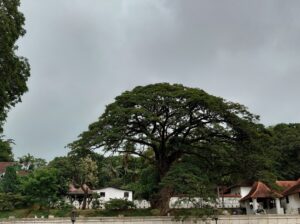 混雑していたスリランカのお寺【仏歯寺】