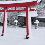 猫ブログ