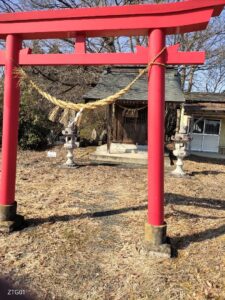 ついてないよ笑