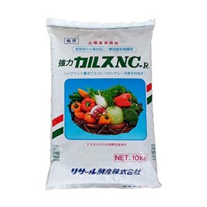 お友達になろう私たち。それが幸せ