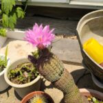 温泉行ってきました