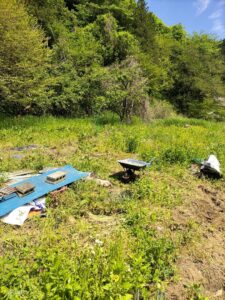 満子のナチュラルガーデン2025