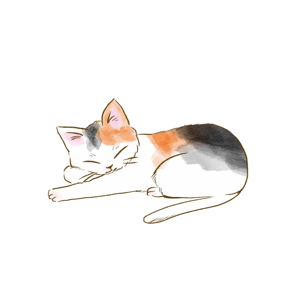 日本の動物への法律が甘すぎやしませんか?