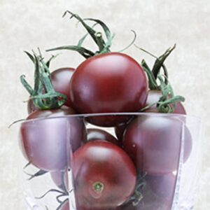 トスカーナ 甘すぎちゃん 名も知らぬミニトマト2種類