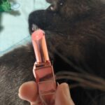 昨日誕生日でした