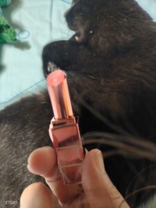 昨日誕生日でした