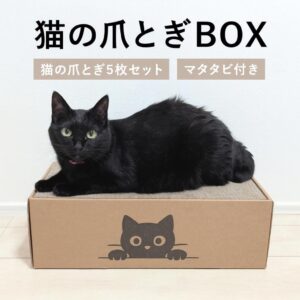 妄想しか残っていなかった。むしろ私には妄想が残っていた