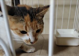 男で勝ち組か負け組か決まるなんてさ！笑わせんなよ怒