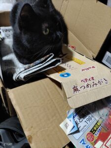 今日は夜勤ですよ。気合い入れて行きます