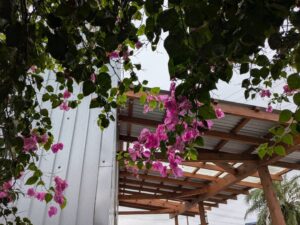 「ただの膀胱炎」だと思ってたら違ってた話し