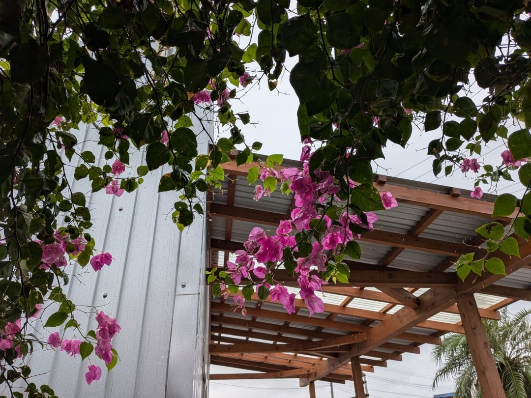 「ただの膀胱炎」だと思ってたら違ってた話し