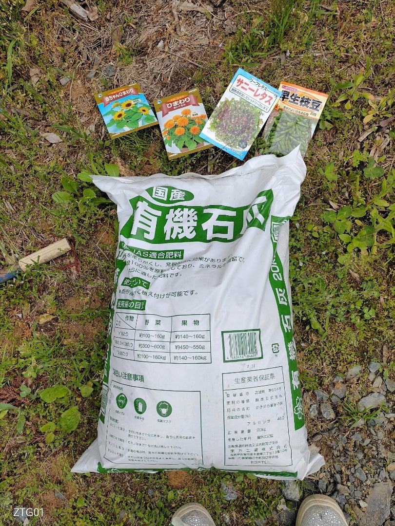 今日の爆買い